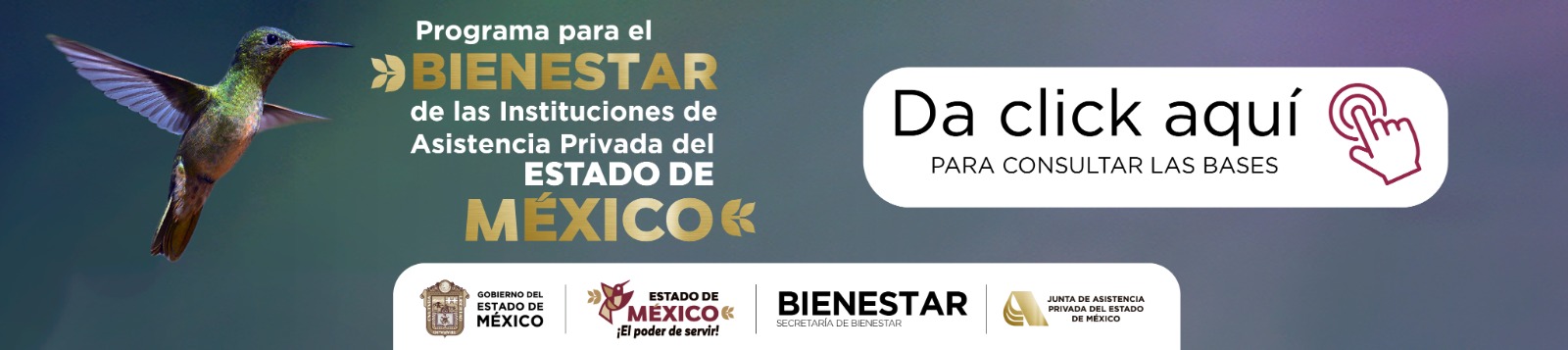 Programa Bienestar